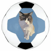 Ragdoll cat, Dusty Blue Voetbal (Voorkant)