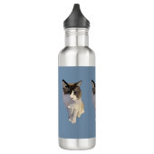 Ragdoll cat, Dusty Blue Waterfles (Links)