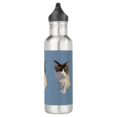 Ragdoll cat, Dusty Blue Waterfles (Rechts)