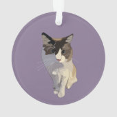 Ragdoll cat, Dusty Purple Ornament (achterkant)