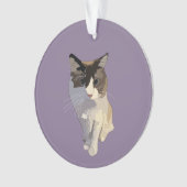 Ragdoll cat, Dusty Purple Ornament (voorkant)