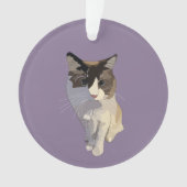 Ragdoll cat, Dusty Purple Ornament (voorkant)