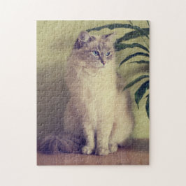 Ragdoll Cat Jigzaag Legpuzzel