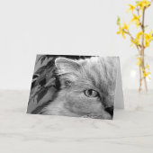 Ragdoll Cat, kaart (Gele Bloem)