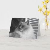 Ragdoll Cat Kaart (Gele Bloem)