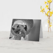 Ragdoll Cat, kaart (Gele Bloem)