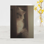 Ragdoll Cat Kaart (Gele Bloem)
