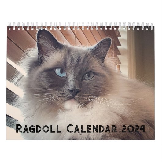 Ragdoll Cat Kalender (Hoes)