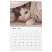 Ragdoll Cat Kalender (Jan 2027)