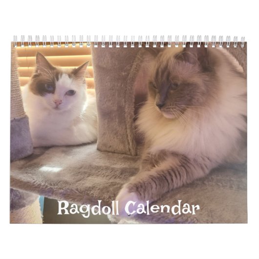 Ragdoll Cat Kalender (Hoes)