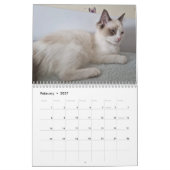 Ragdoll Cat Kalender (Feb 2027)