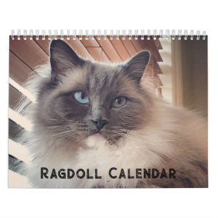 Ragdoll Cat Kalender