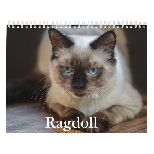Ragdoll Cat Kalender (Hoes)