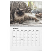 Ragdoll Cat Kalender (Mar 2026)
