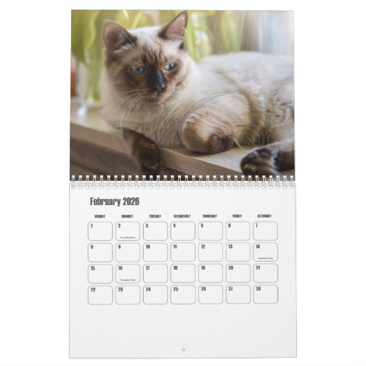 Ragdoll Cat Kalender (Feb 2026)