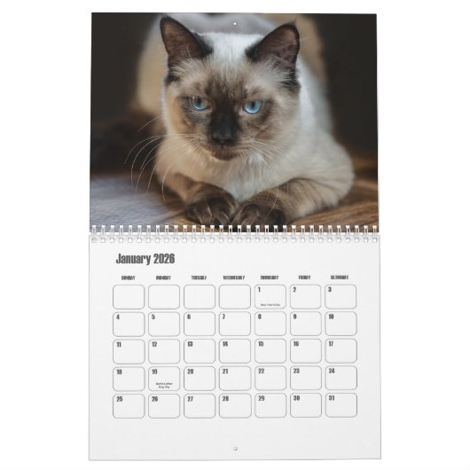 Ragdoll Cat Kalender (Jan 2026)