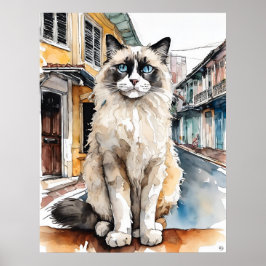 Ragdoll Cat - Kat Art Print
