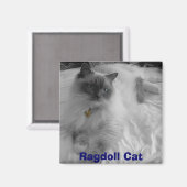 Ragdoll Cat Magneet (Voorkant / Achterkant)