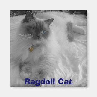 Ragdoll Cat Magneet