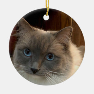 Ragdoll Cat met Blue Eyes kan worden gepersonalise Keramisch Ornament