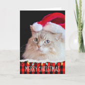 Ragdoll Cat met Santa Hat Kaart (Voorkant)