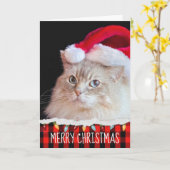 Ragdoll Cat met Santa Hat Kaart (Gele Bloem)
