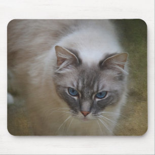 Ragdoll Cat Mousemat Muismat