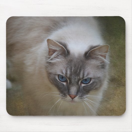Ragdoll Cat Mousemat Muismat (Voorkant)