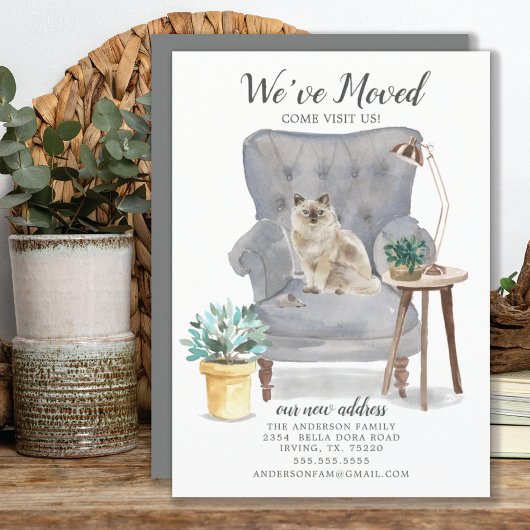 Ragdoll Cat Moving Announge Aankondiging