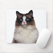Ragdoll Cat Muismat (Met muis)