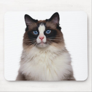 Ragdoll Cat Muismat