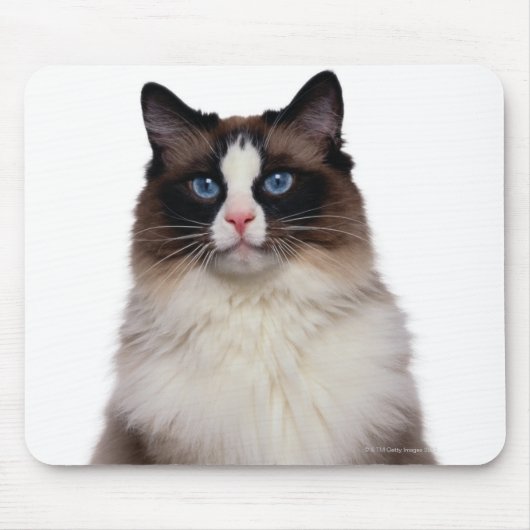 Ragdoll Cat Muismat (Voorkant)