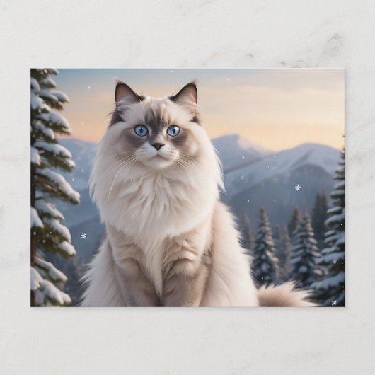 Ragdoll Cat op de besneeuwde berg met serene winte Briefkaart (Voorkant)