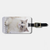 Ragdoll Cat op toetsenbord Bagagelabel (Voorkant horizontaal)