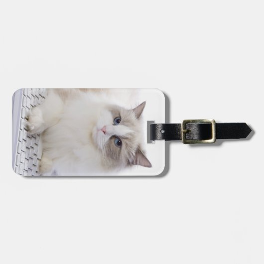 Ragdoll Cat op toetsenbord Bagagelabel (Voorkant horizontaal)