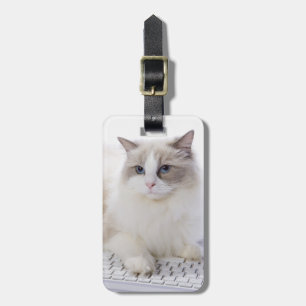 Ragdoll Cat op toetsenbord Bagagelabel