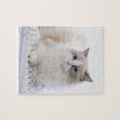 Ragdoll Cat op toetsenbord Legpuzzel (Horizontaal)