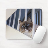 Ragdoll Cat op trap Muismat (Met muis)