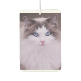 Ragdoll Cat Personalized Photo Air Freshener Luchtverfrisser