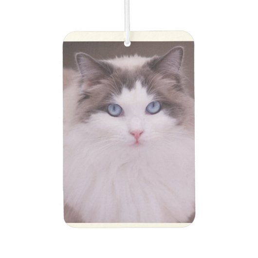 Ragdoll Cat Personalized Photo Air Freshener Luchtverfrisser (Voorkant)