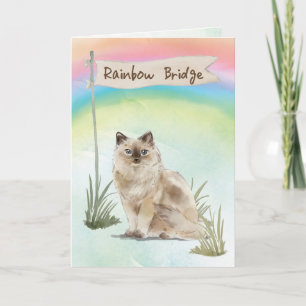Ragdoll Cat Pet Sympathie over regenboogbrug Kaart