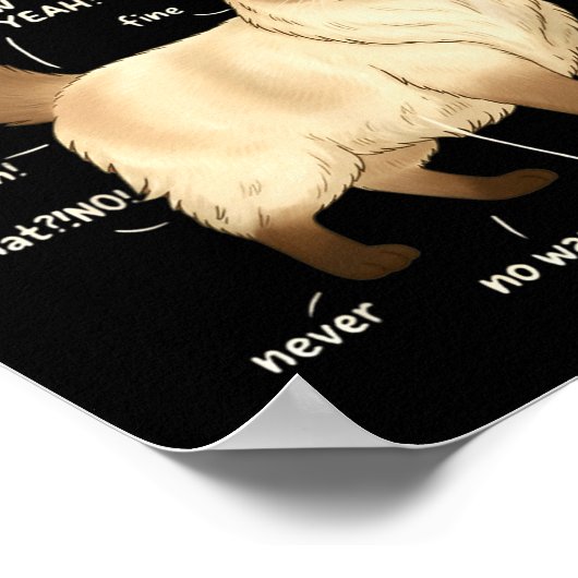 Ragdoll Cat Petting Guide Funny Cat Lover  Poster (Hoek)