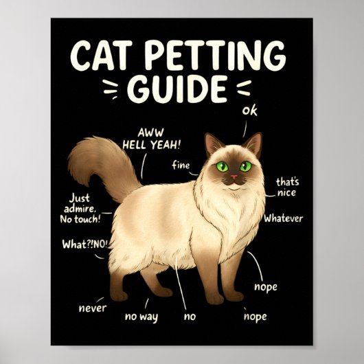 Ragdoll Cat Petting Guide Funny Cat Lover Poster (Voorkant)