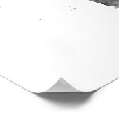 Ragdoll Cat Portrait Poster (Hoek)