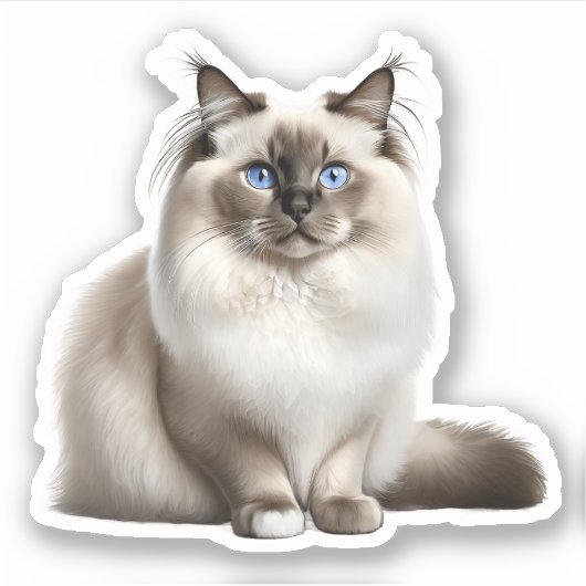Ragdoll Cat Sticker (Voorkant)