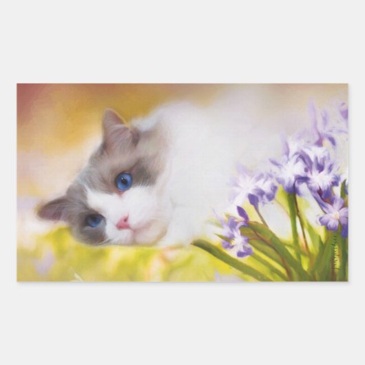 Ragdoll Cat Stickers (Voorkant)