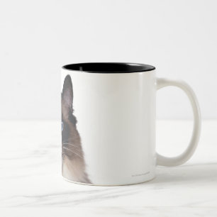 Ragdoll Cat Tweekleurige Koffiemok