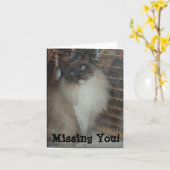 Ragdoll Cat - Vermist je! Kaart (Gele Bloem)