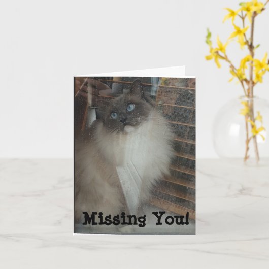 Ragdoll Cat - Vermist je! Kaart (Gele Bloem)