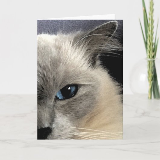 Ragdoll Cat Wenskaart Kaart (Voorkant)